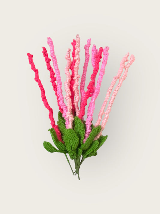 Lavender Flower