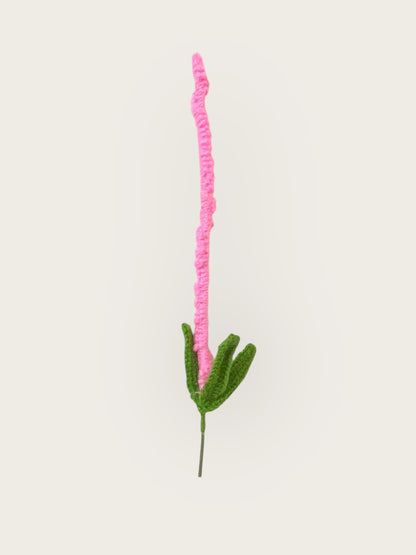 Lavender Flower