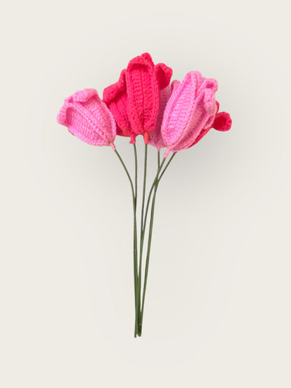 Tulip Flower