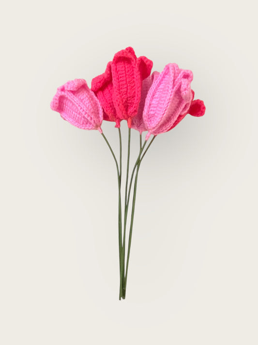 Tulip Flower