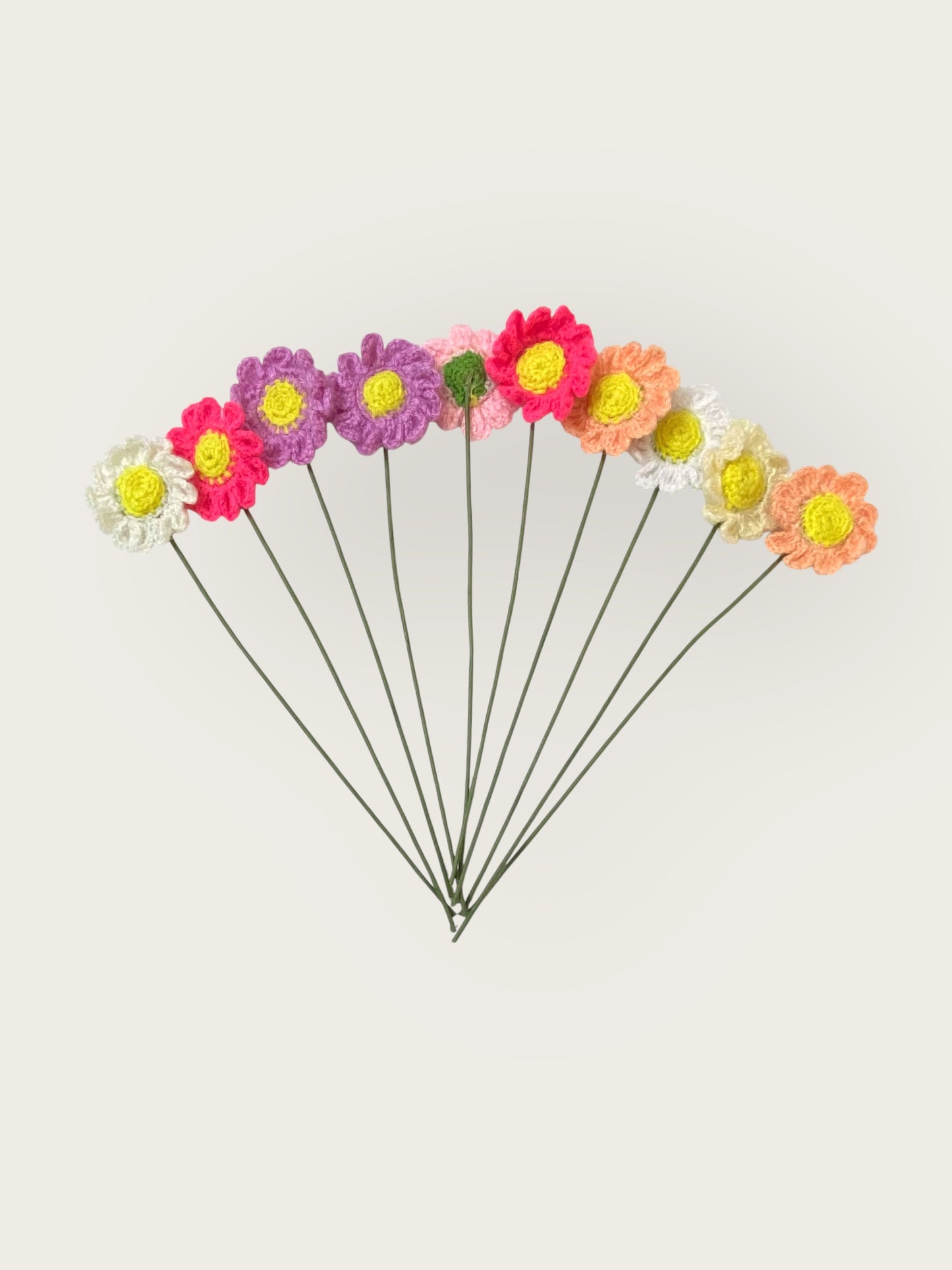 Daisy Flower