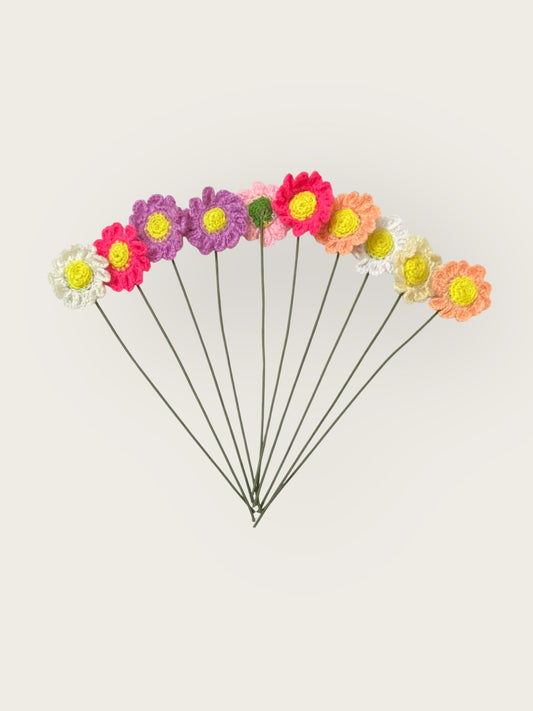Daisy Flower