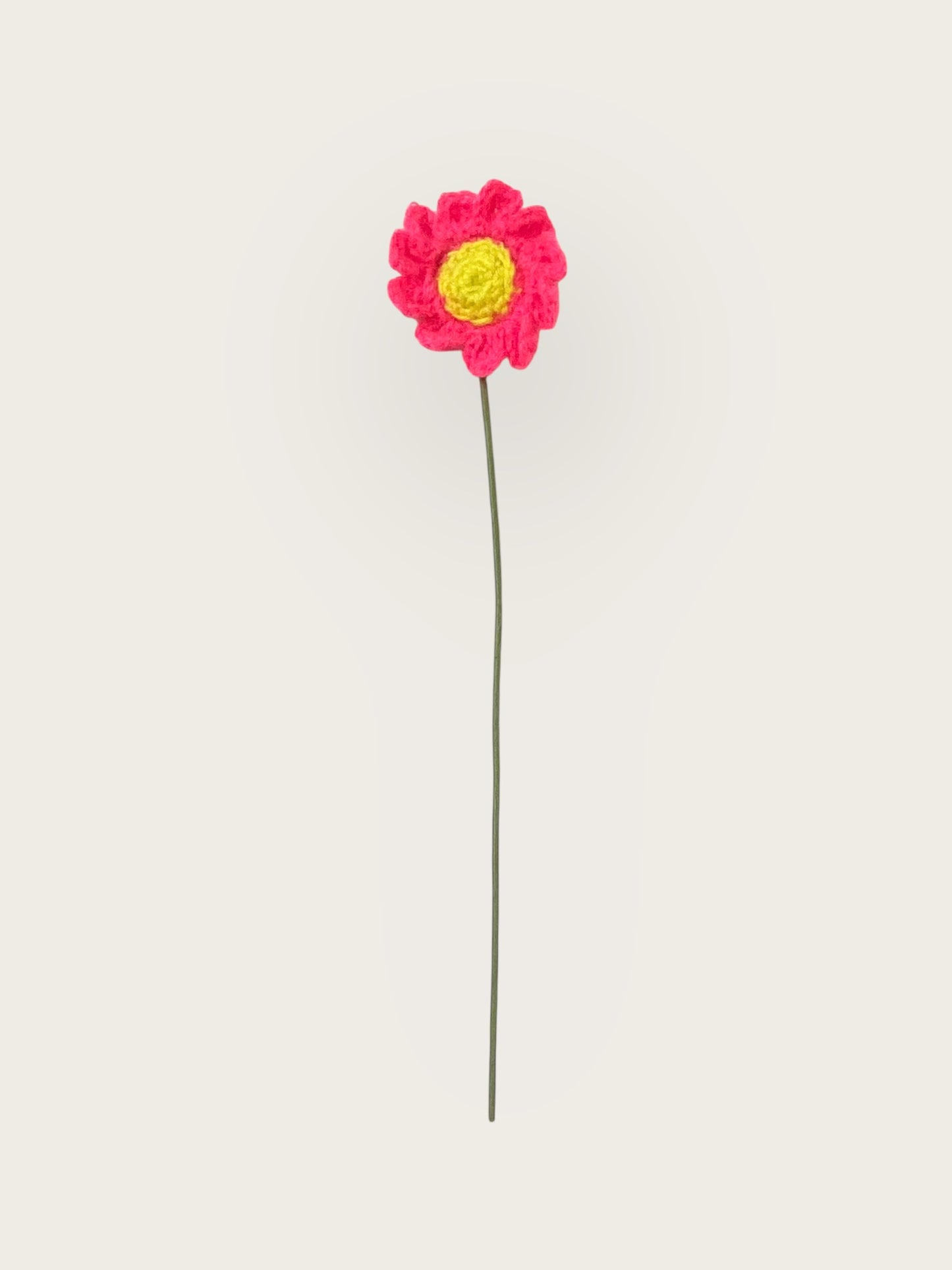 Daisy Flower