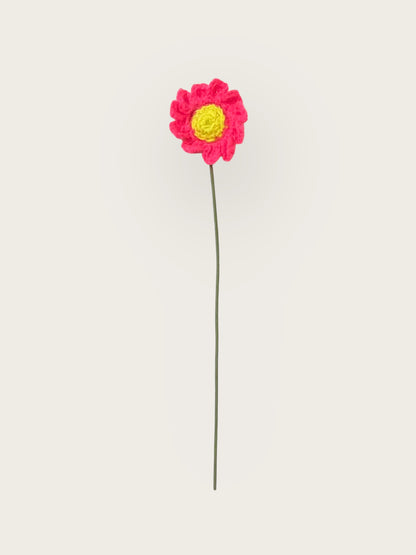 Daisy Flower