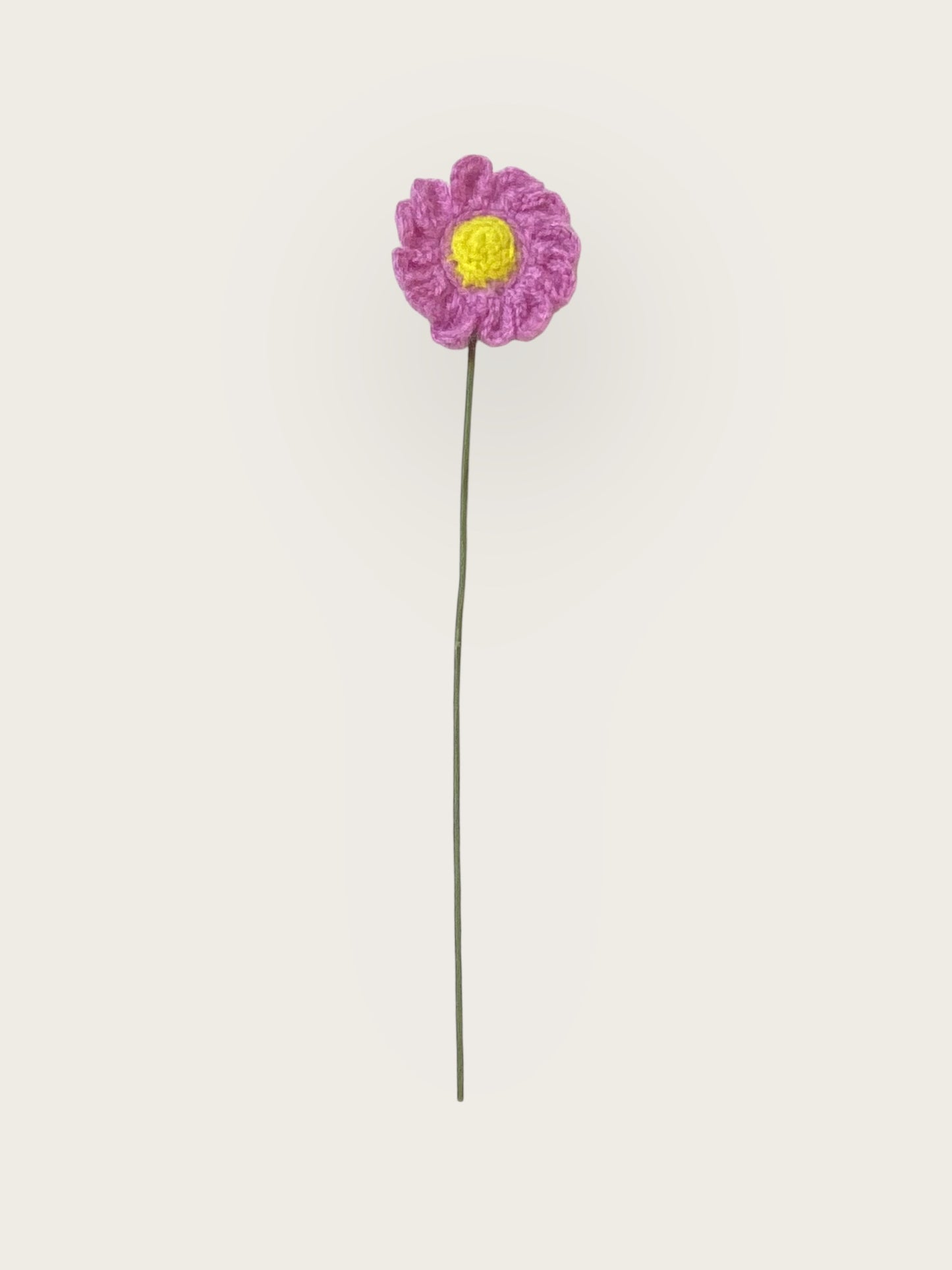 Daisy Flower