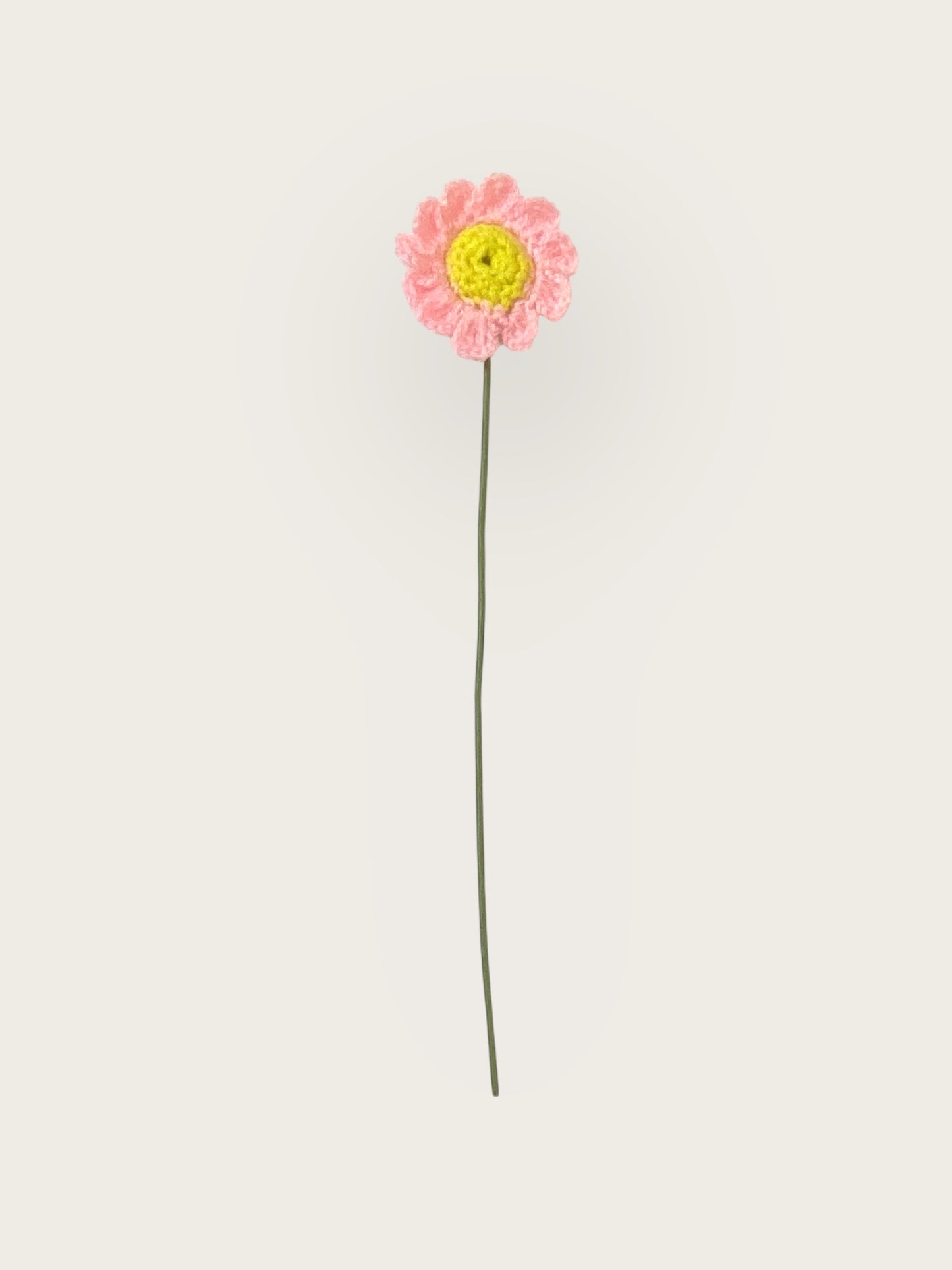 Daisy Flower