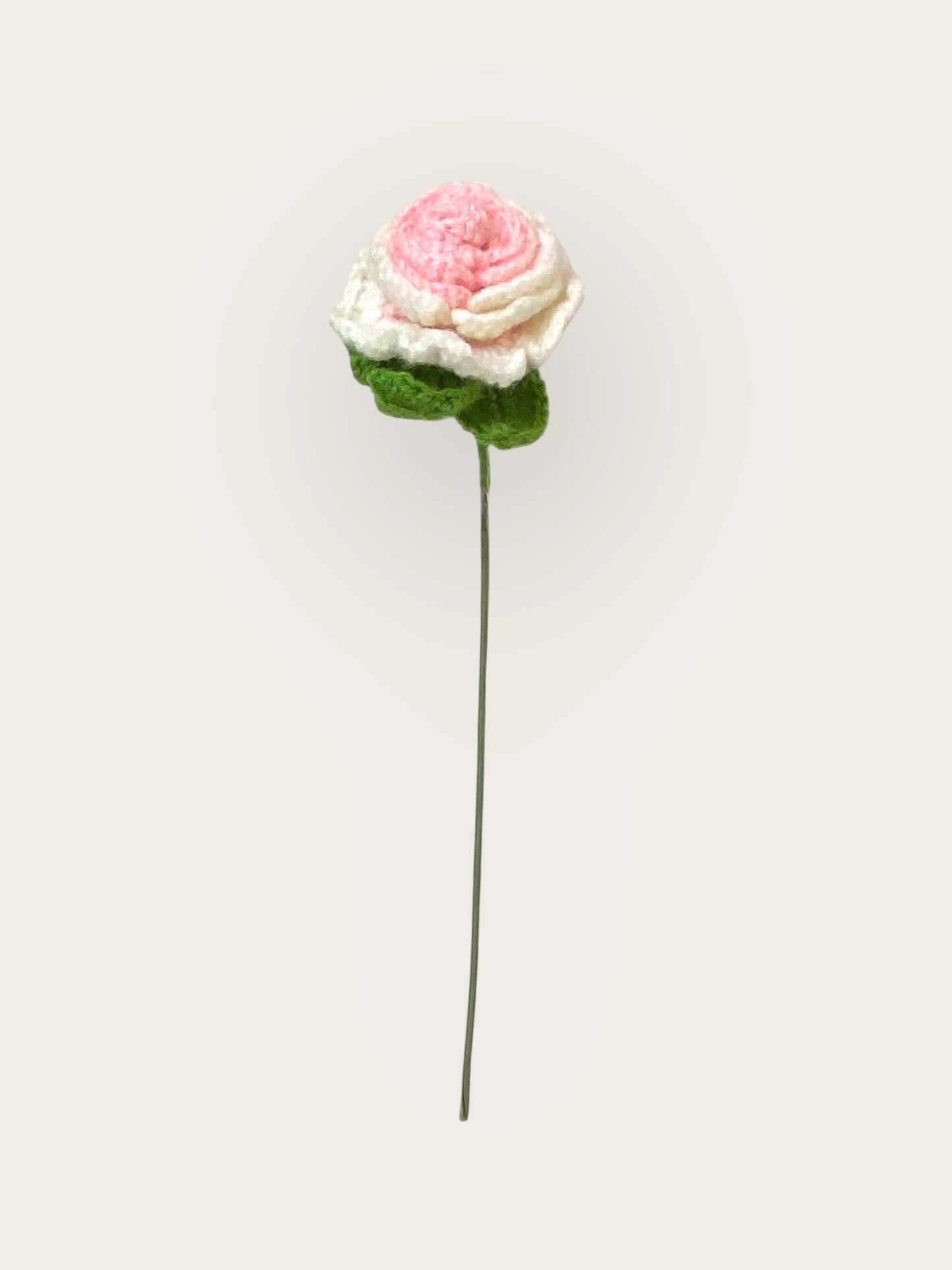 Rose Flower